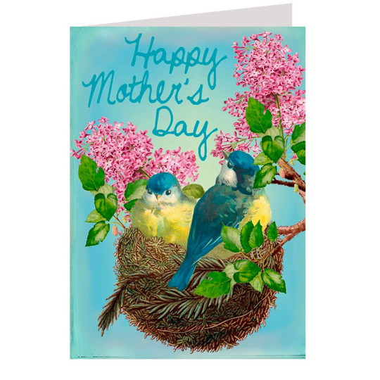 Birds in Nest Mother's Day Card ~ England